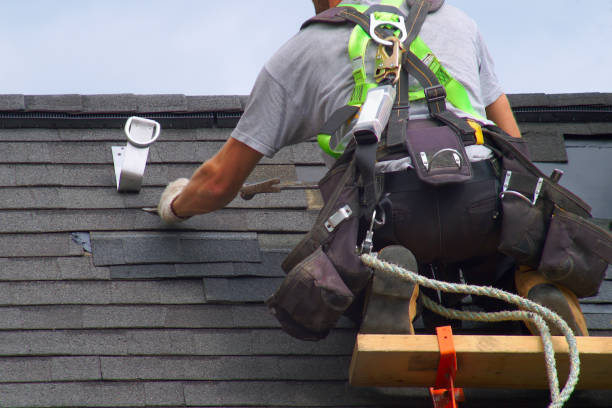 Best Shingle Roofing Installation  in King Cove, AK