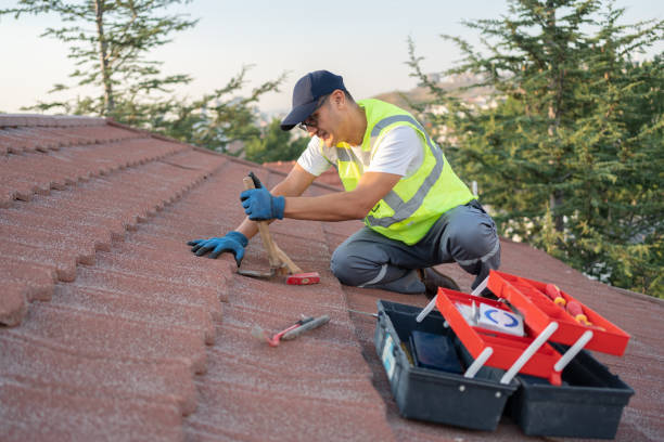 Best Roof Maintenance Services  in King Cove, AK