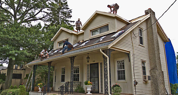 Best Residential Roofing Contractor  in King Cove, AK