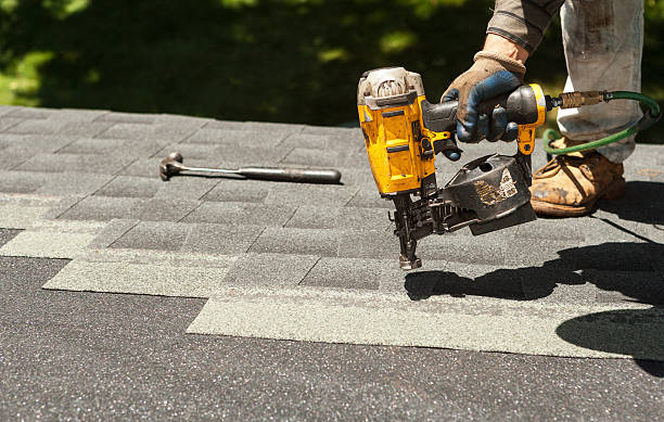 Best Roof Repair Services  in King Cove, AK
